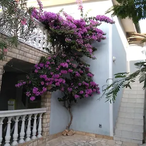 https://apartmani-korade.hotelinzadar.com